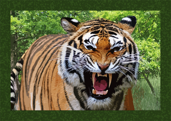 tigerSMW