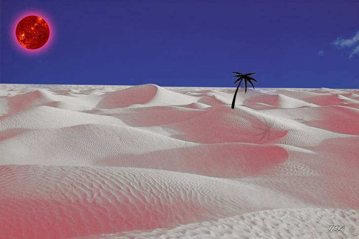 snowdesertSMW