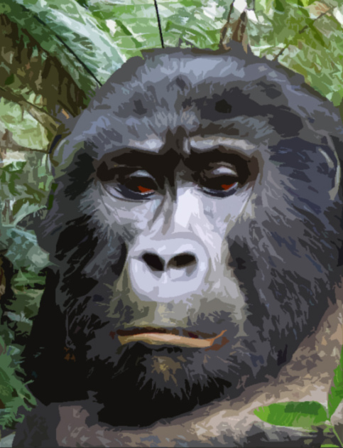 gorilla3SMW