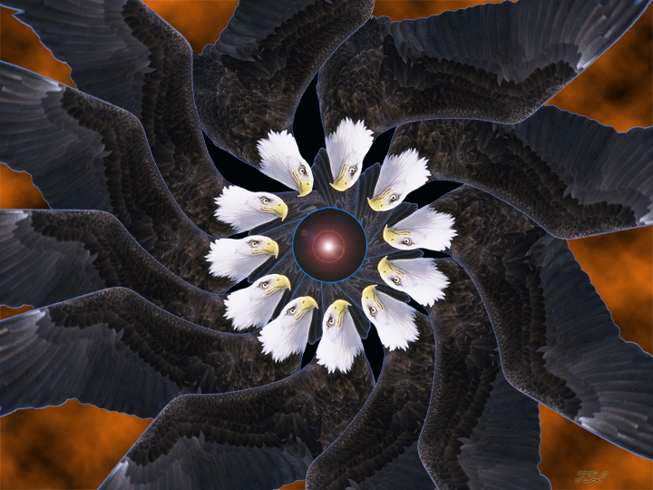 eagleeyeSMW