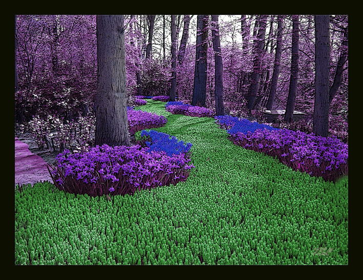 woodlandwonderSMW