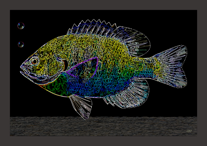 FISHnamedwanderSMW
