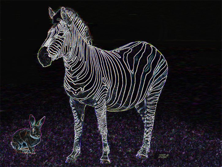zebraRabbitSMW