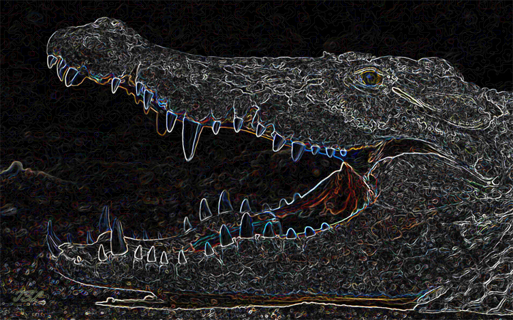 CrocSMW