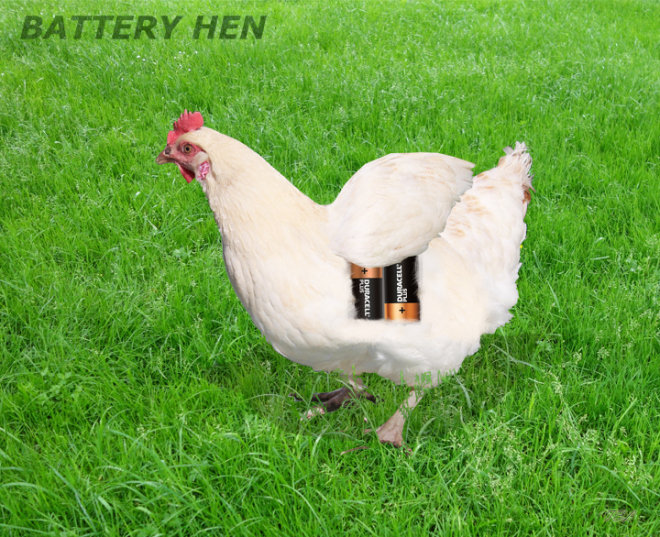 BatteryHenSMW
