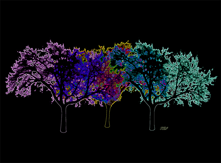 threetreesSMW