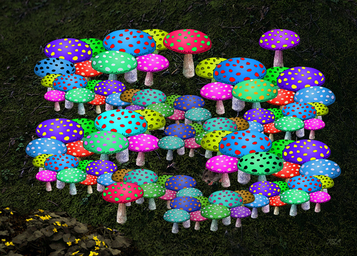 mushroomSMW