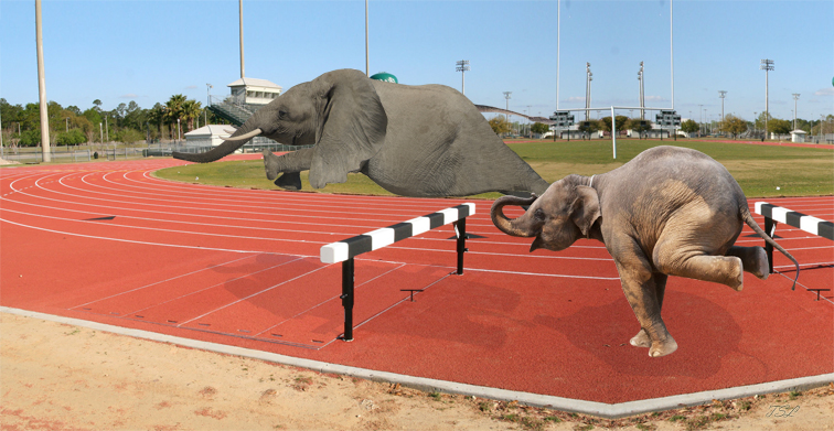elephantderby2SMW