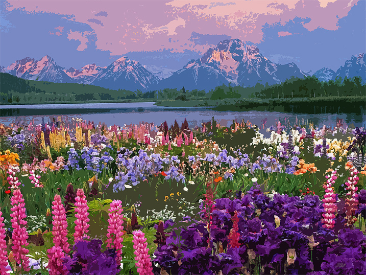 mountain viewSMW