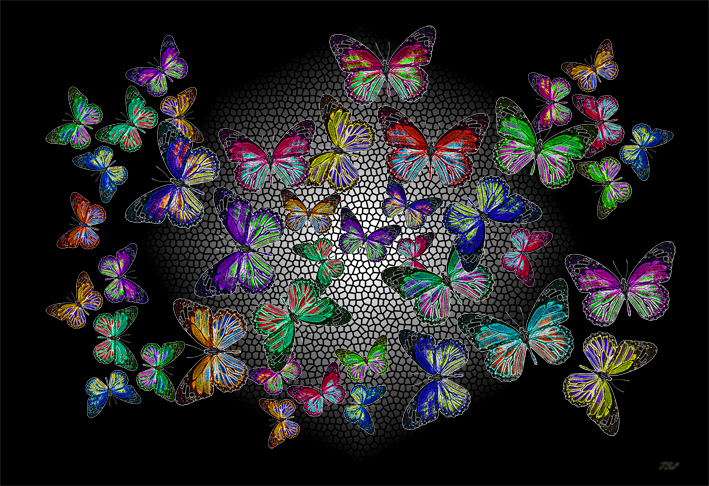 butterflydelightSMW