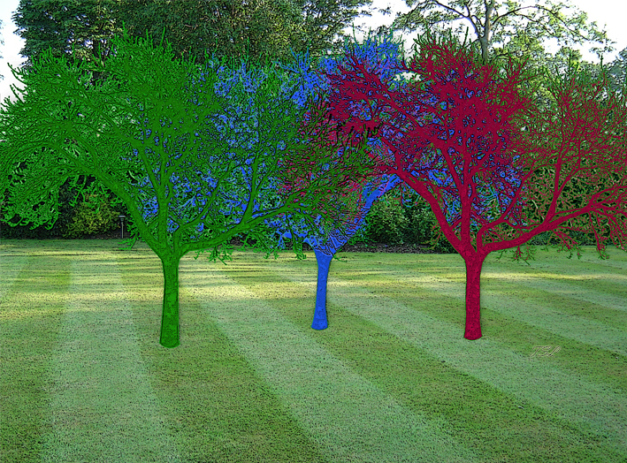 threetreescolourV2smw