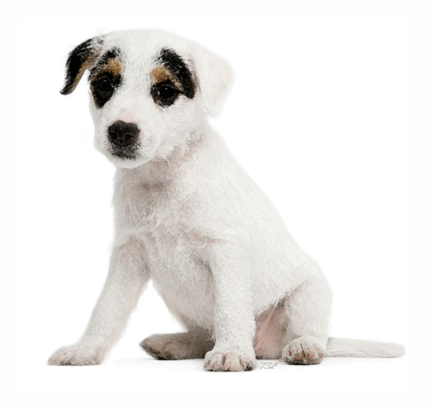 PUP1SMW
